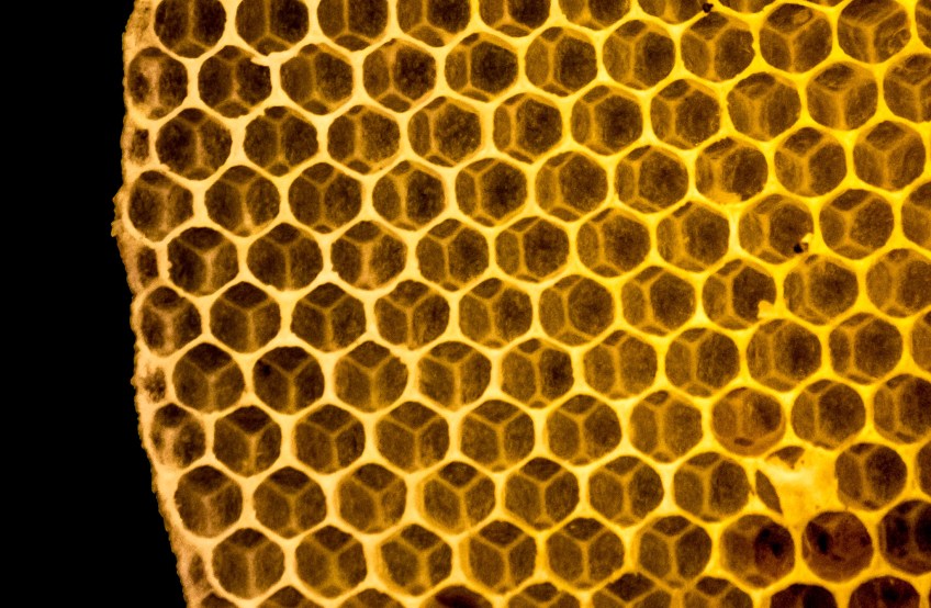 creative common andryn2006